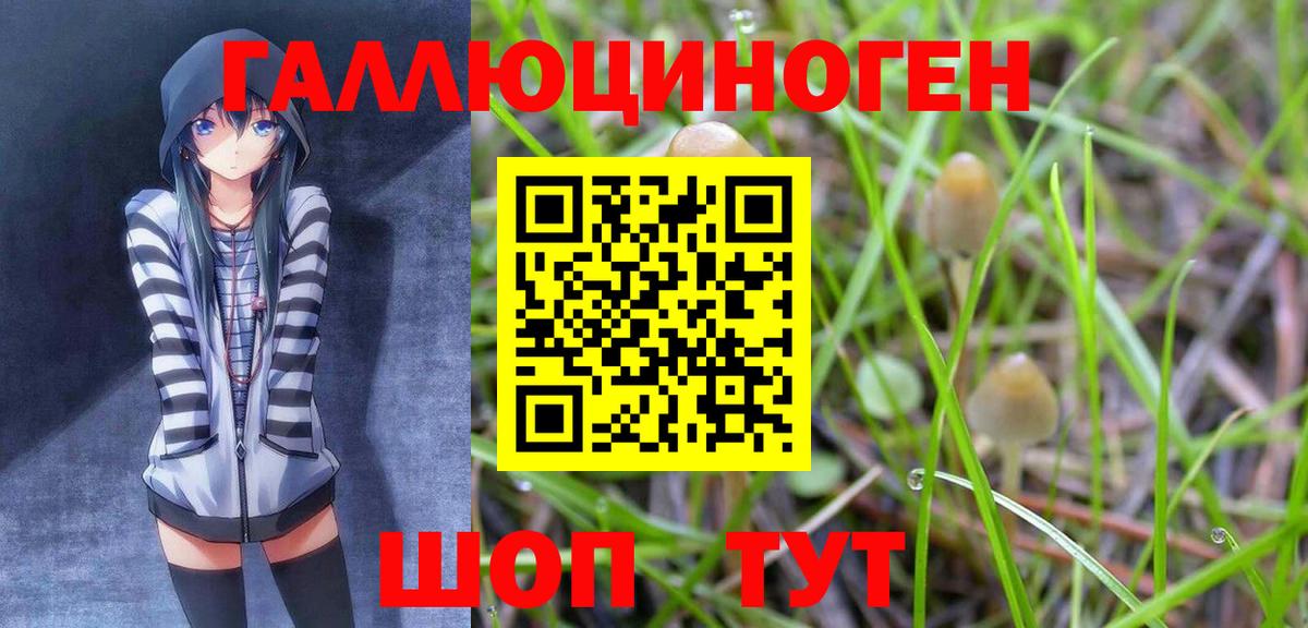 Орск  Галлюциногенные грибы Magic Shrooms  Вход с VPN 