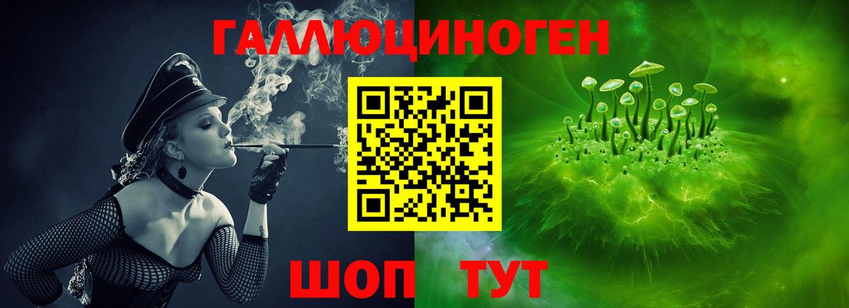 Псилоцибиновые грибы GOLDEN TEACHER Орск